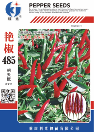 科光種苗“艷椒485”辣椒、“秋實(shí)1號(hào)”甘藍(lán)分別入選2025年農(nóng)業(yè)主導(dǎo)品種、農(nóng)作物優(yōu)良品種推廣目錄